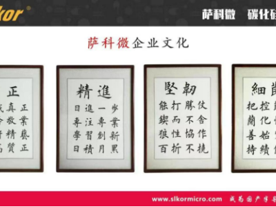 6383239336621596257668558