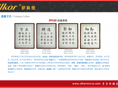 6385724829936510169769533